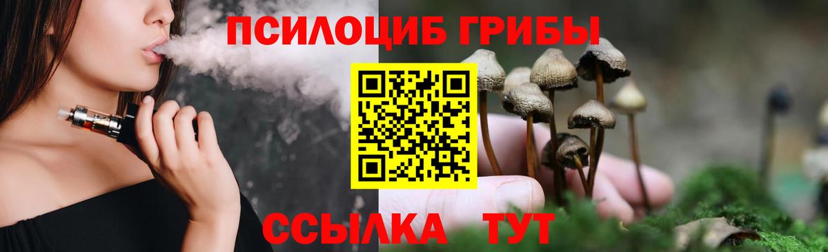 Липецк  Галлюциногенные грибы MAGIC MUSHROOMS  Вход с VPN  Псилоцибиновые грибы Cubensis 